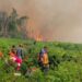BPBD Samarinda Tingkatkan Kesiapsiagaan Hadapi Kemarau Panjang, Warga Diminta Tak Bakar Lahan