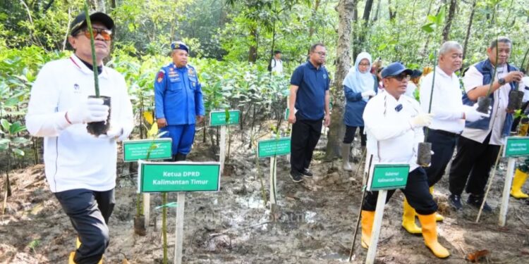 Yusuf Mustafa Hadiri Peringatan Hari Mangrove Sedunia 2026, Dukung Pelestarian Ekosistem Pesisir