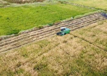 Pemkab Kutai Timur Lanjutkan Program Cetak Sawah untuk Perkuat Ketahanan Pangan Daerah