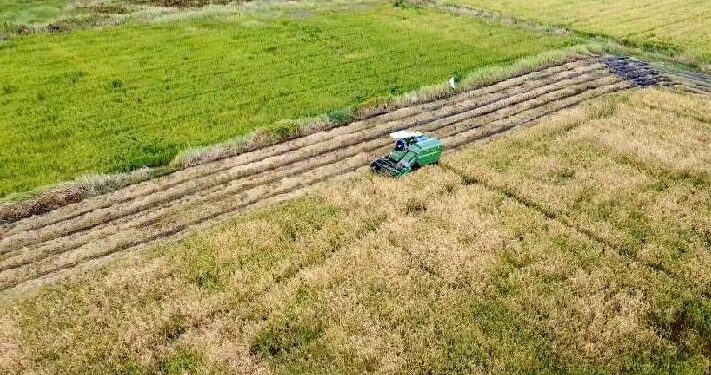 Pemkab Kutai Timur Lanjutkan Program Cetak Sawah untuk Perkuat Ketahanan Pangan Daerah