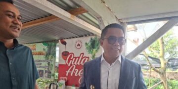 Belajar dari PT SAI, Kutim Dorong Pengembangan Aren dari Bibit hingga Hilirisasi