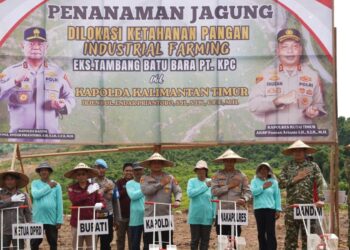 Eks Tambang KPC Kutim: Disulap Jadi Lumbung Jagung, Polda Kaltim Guyur Alsintan untuk Kejar Target 30 Ton