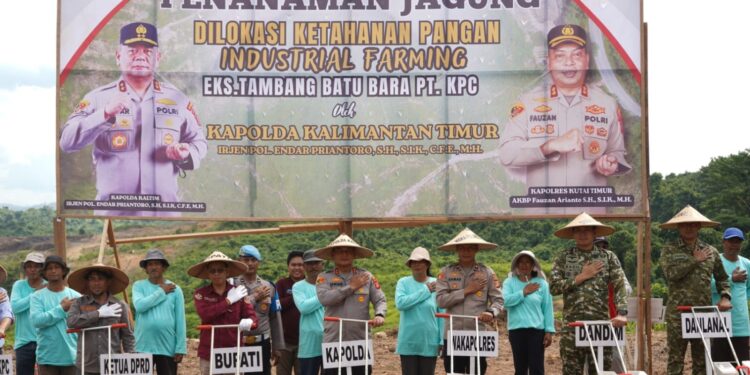 Eks Tambang KPC Kutim: Disulap Jadi Lumbung Jagung, Polda Kaltim Guyur Alsintan untuk Kejar Target 30 Ton