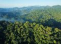 Potensi Kebakaran Hutan dan Lahan di Kaltim Masih Tinggi Hingga 12 Agustus 2026