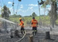 46 Kejadian Karhutla Terjadi di Samarinda, Luas Lahan Terbakar Capai 46,04 Hektare