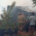 Ditinggal Masak, Warung Kelontong di Babulu PPU Dilalap Api