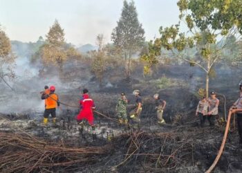 BMKG Kaltim Ingatkan Potensi Karhutla Tinggi, 1.161 Titik Hotspot Terdeteksi