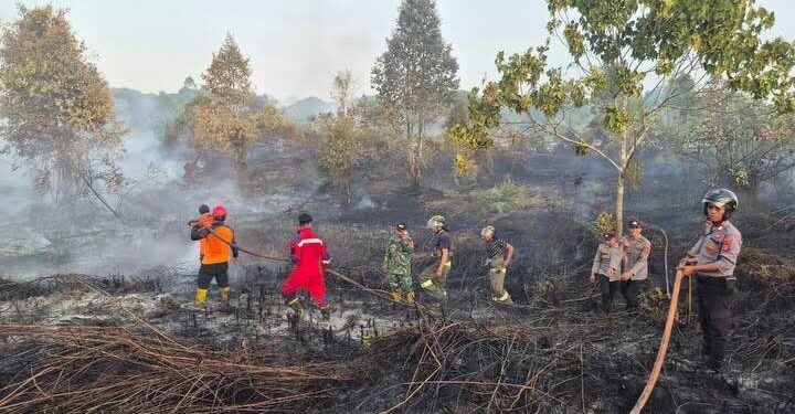 BMKG Kaltim Ingatkan Potensi Karhutla Tinggi, 1.161 Titik Hotspot Terdeteksi