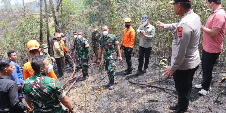 Kapolda dan Pangdam Turun Langsung Pantau Karhutla di Balikpapan