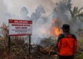345 Titik Panas Terdeteksi di Kaltim, Paser dan Berau Tertinggi