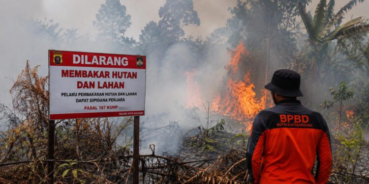 345 Titik Panas Terdeteksi di Kaltim, Paser dan Berau Tertinggi