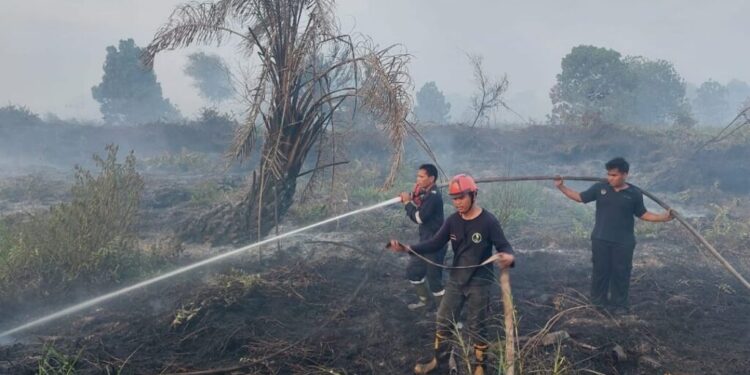 18.402 Titik Panas Terdeteksi di Kaltim, BMKG Ingatkan Warga Waspadai Karhutla