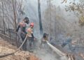 Patroli Gabungan Temukan Lima Hotspot Karhutla di Berau