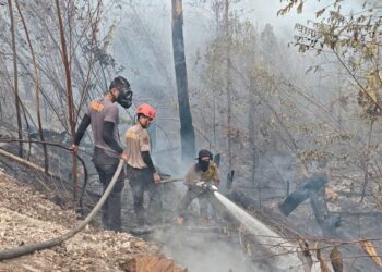 Patroli Gabungan Temukan Lima Hotspot Karhutla di Berau