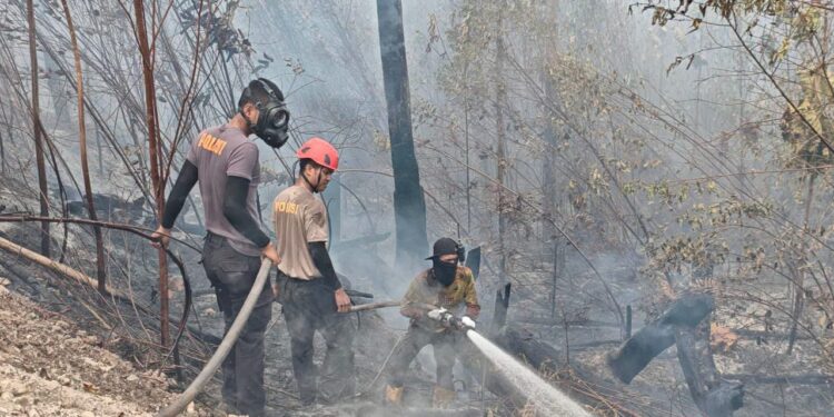 Patroli Gabungan Temukan Lima Hotspot Karhutla di Berau