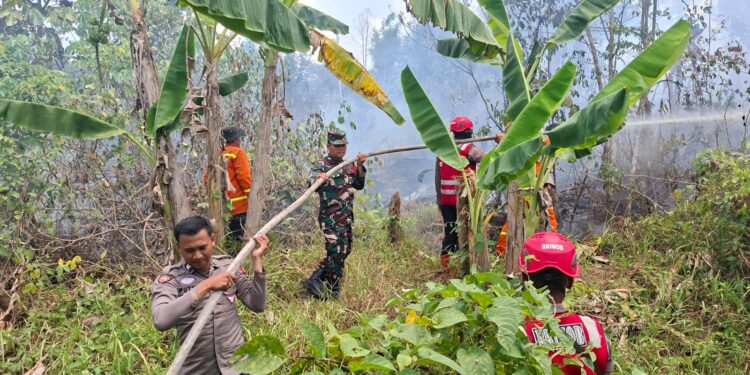 Titik Api Kembali Muncul di Samboja Barat, Tim Gabungan Kerahkan Water Bombing