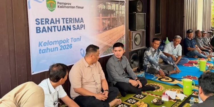 Perjuangkan Aspirasi Peternak, Andi Satya Salurkan Bantuan Sapi di Lempake